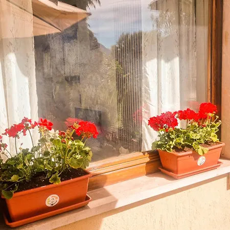 Apartment Tiny House Sofia *