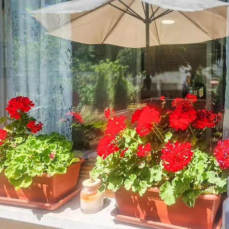 Apartment Tiny House Sofia *