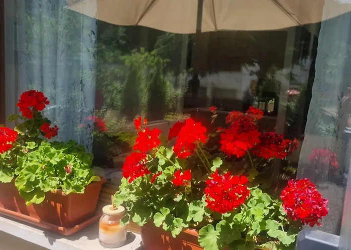 アパート Tiny House Sofia アオスタ