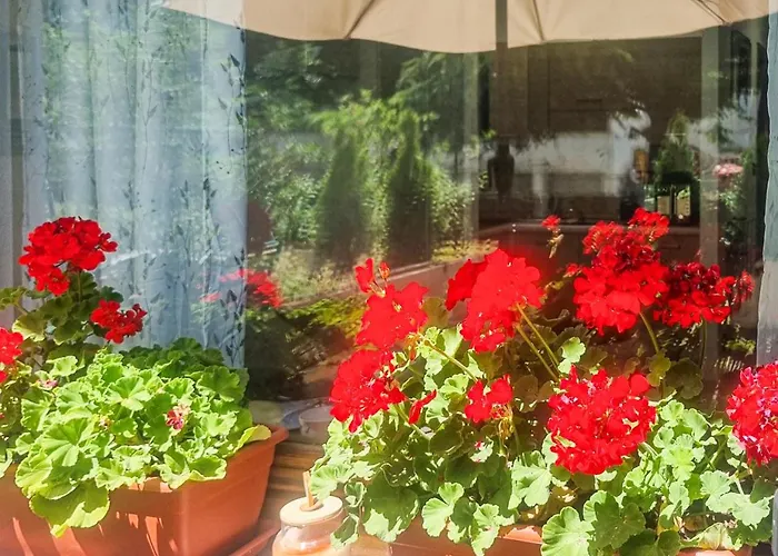 Apartment Tiny House Sofia *